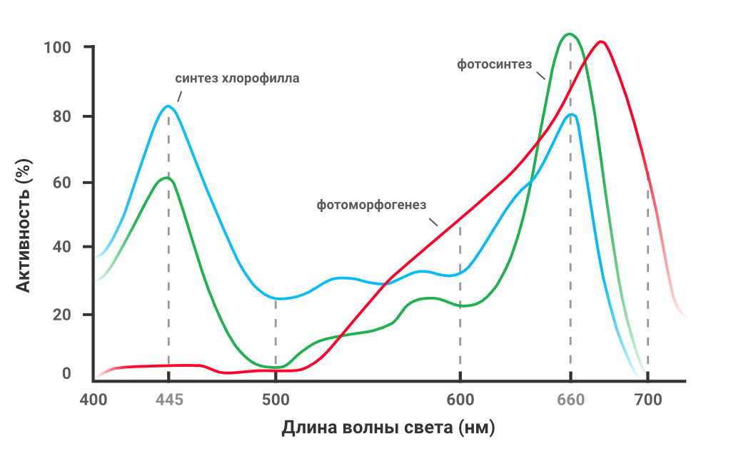 альтернативный текст