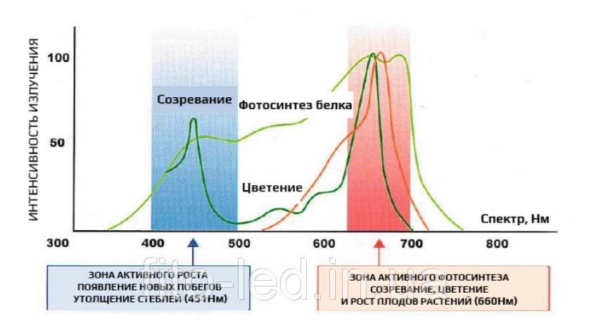 Спектр света для роста. Спектр для растений. Спектр для цветения растений. Световой спектр для растений. Спектр света для растений для вегетации.