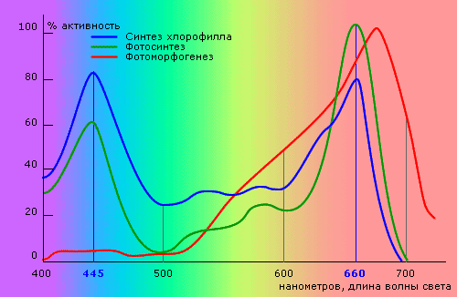 альтернативный текст